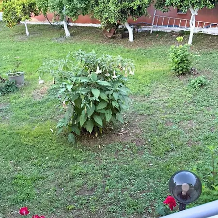 Georgia's Apartments, - Complex S * Ipsos